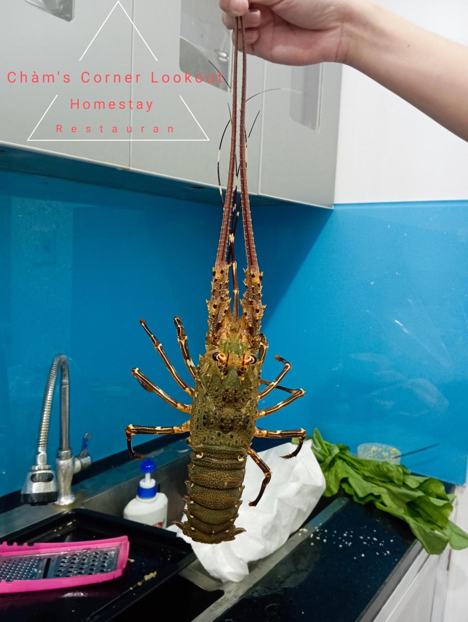 Cham'S Corner Lookout Homestay & Restaurant Tân Hiệ Exterior foto