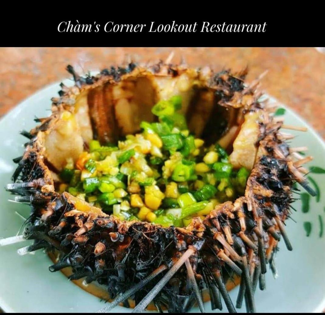 Cham'S Corner Lookout Homestay & Restaurant Tân Hiệ Exterior foto